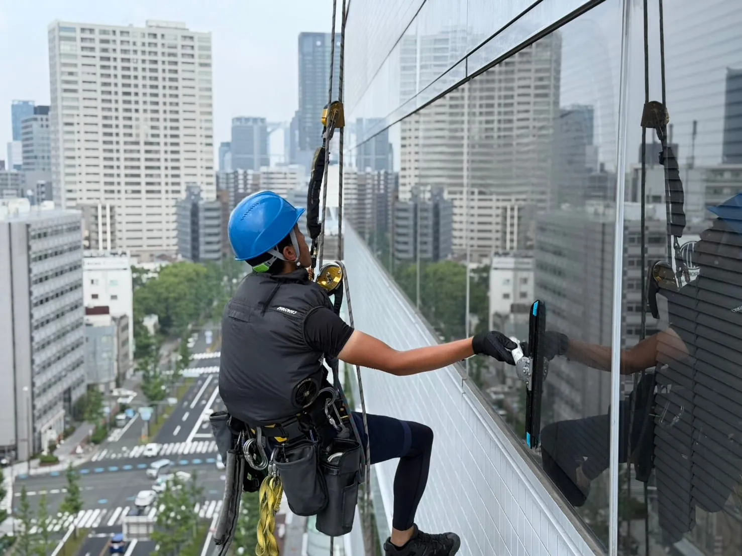 市街地の高層ビルで、ロープで吊り下がりスクイジーでガラスを拭く作業員