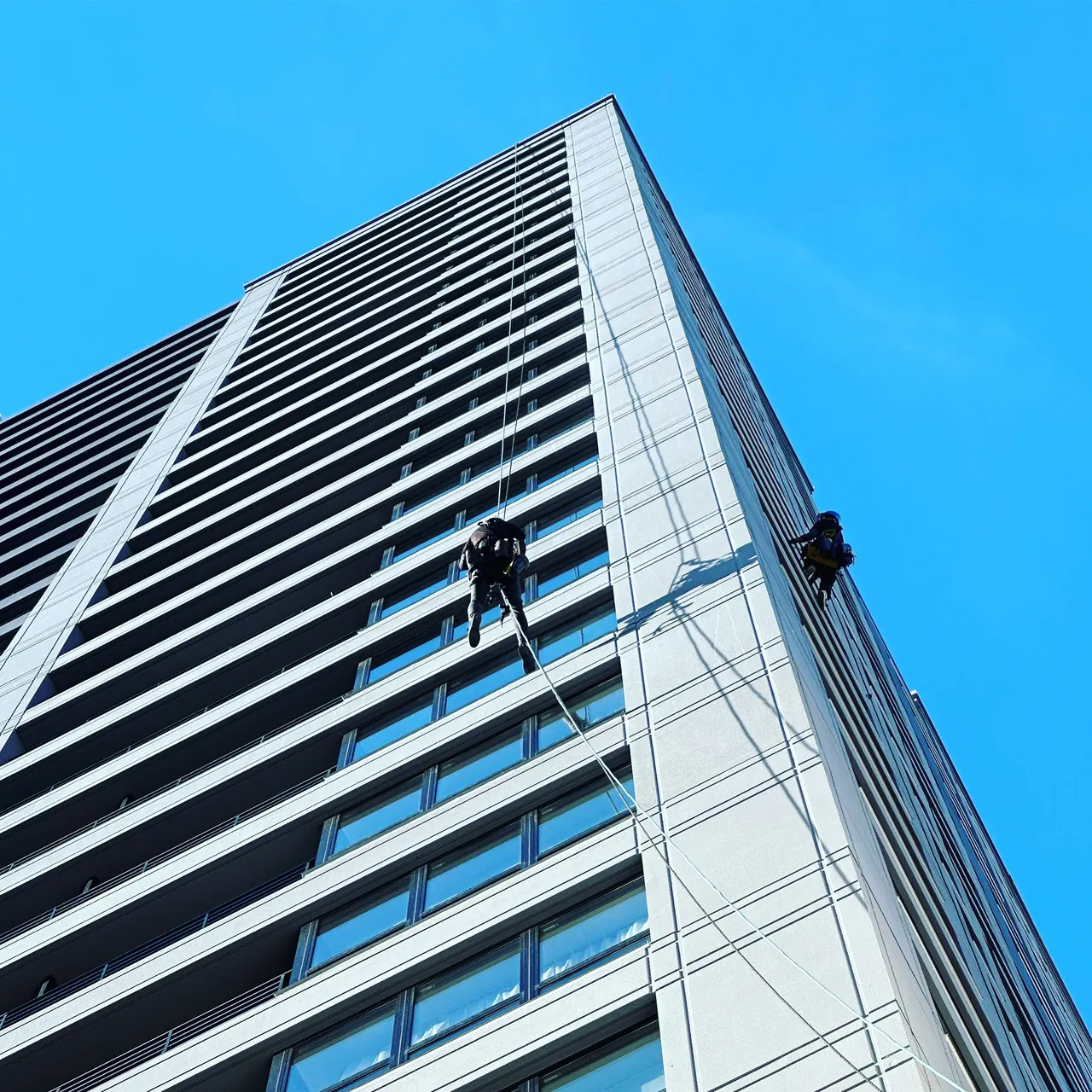 高層マンションの外壁をロープアクセスで降下しながら作業する橙會の作業員